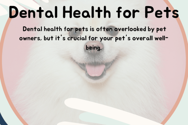 Caring Dental Health for Pets: A Simple Guide dental health of pets