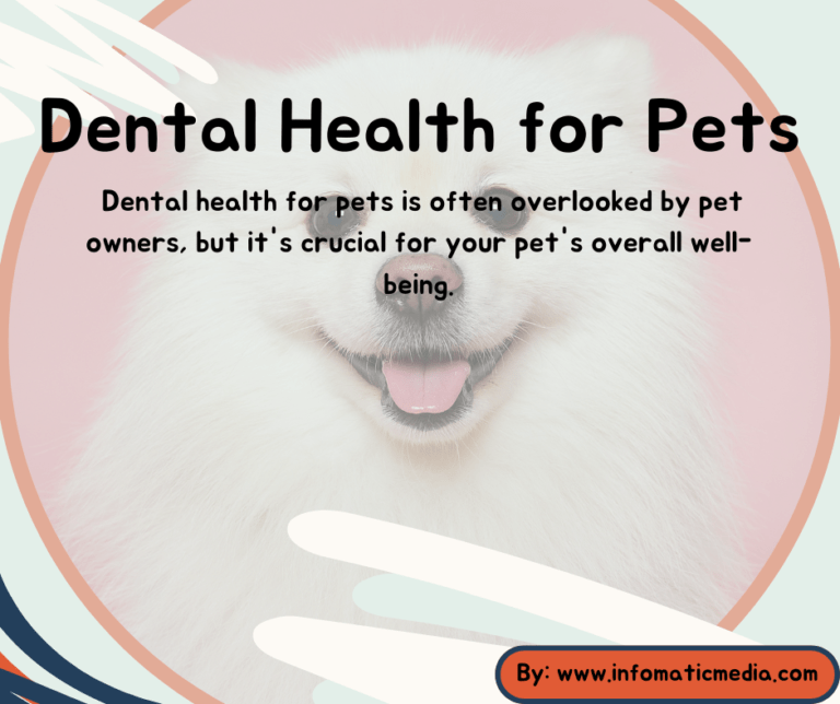 dental health of pets