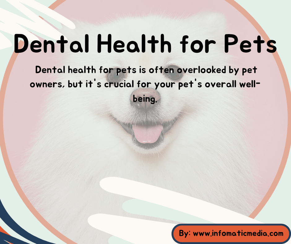 dental health of pets