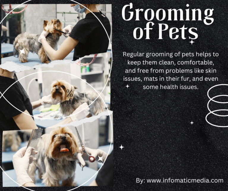 Grooming of pets