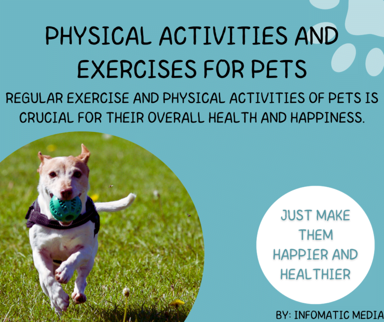 Physical activities and exercises for Pets