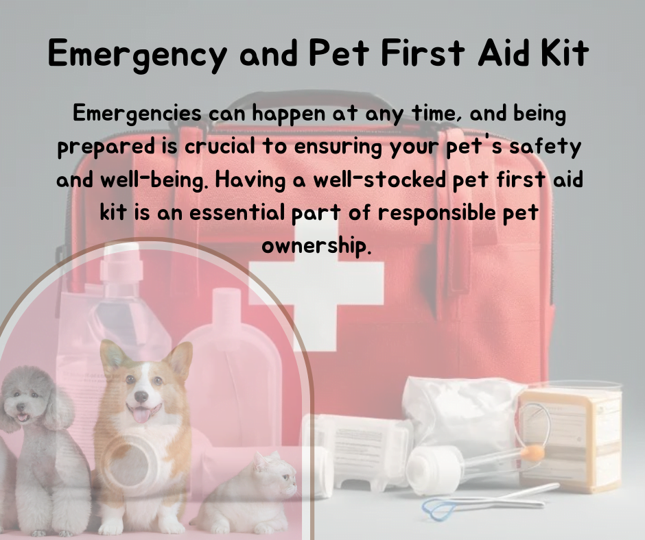 Pet First Aid Kit